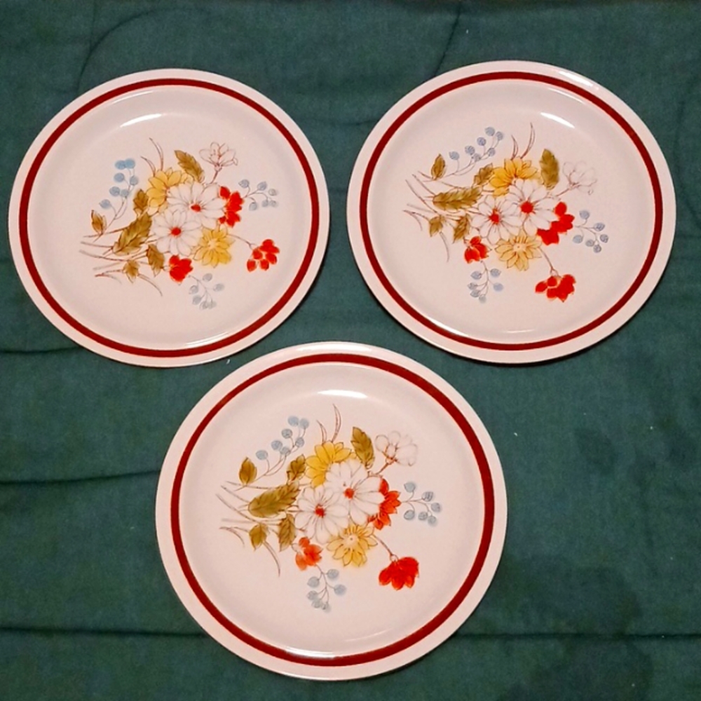 Dinner plate
